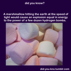 did-you-kno:  At 99.99% of the speed of light Source/Read more Note: Tumblr has a new highlight a post feature. Which is why you are seeing this as a special post. :) 