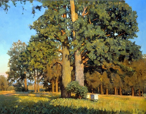 Nicholas AnokhinOld OaksOil on Canvas