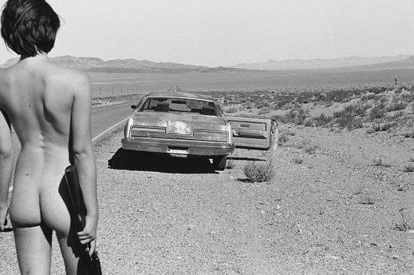 stiffbrush:  Any questions, ask the lady with the rifle .  I like the picture and