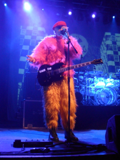 dykevanian:dykevanian:fuckyeahthedamned:captain sensible 19/11/11ratfacedgit HE STILL HAS THE FLUFFY