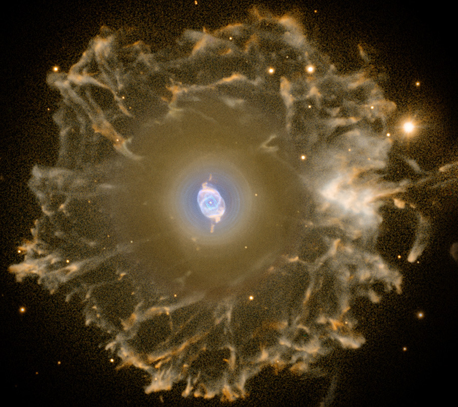 n-a-s-a:  Halo of the Cat’s Eye  Credit &amp; Copyright: R. Corradi (Isaac