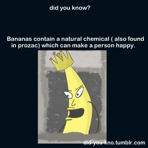 did-you-kno:  Source 