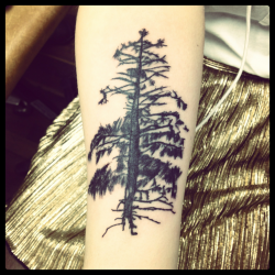 fuckyeahtattoos:  Spruce trees grow all over