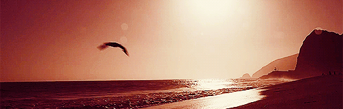 fokinmoda:  IS KEVIN, OMG, THIIIIIIIIIIIIIIS KEVIIIIIIN I KNOW IT KNOW IT!!! 
