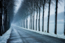 sundefined:  Winter Lane (by buteijn) 