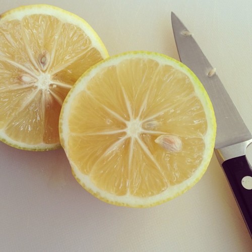 I squealed. I am absolutely shocked. My first lemon is totally juicy. (Taken with instagram)