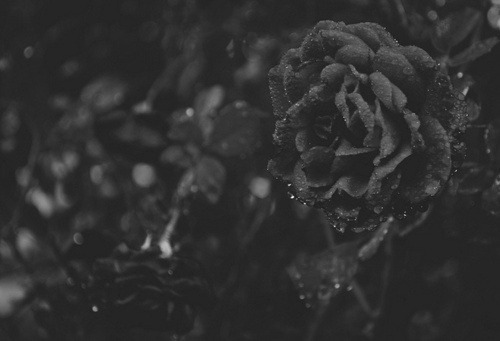 another-death:  Source 