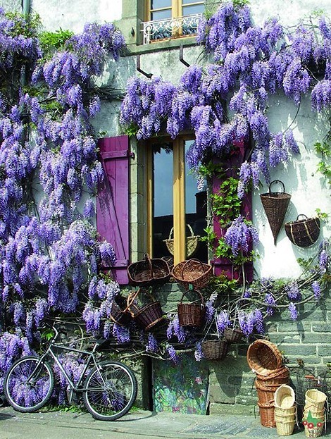 inkiemama: meanwhile in France…..