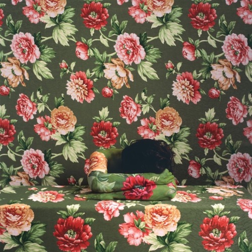 marrypotter:  Wallpaper Camouflage by Cecilia adult photos