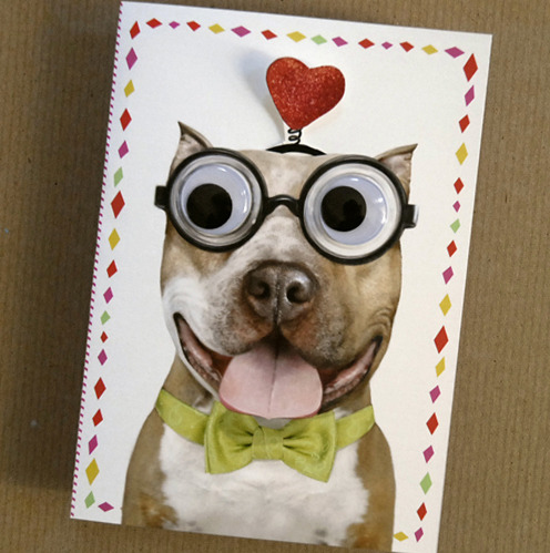 Selling the loveable Sammy Goofy Dog Pitbull rescue card raised $120 dollars in January for two great rescue groups (PBRC & Rugaz Rescue).
For the month of February - card sales will be split and donated directly to the PBRC and the rescue group...