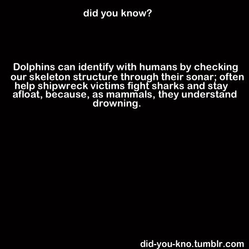 did-you-kno:  Source 