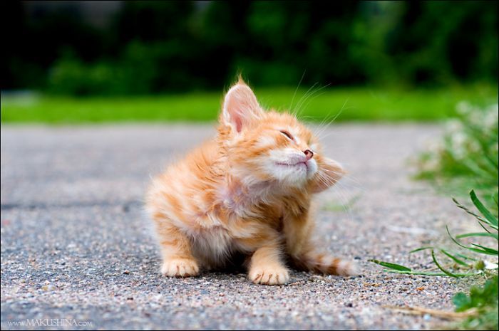 Cute & Happy