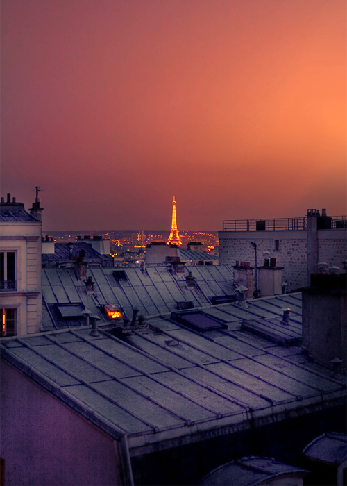 My city