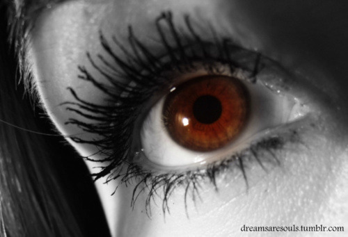 mochacafe:  via ohsopictures 
