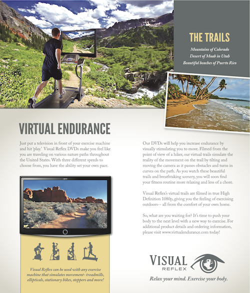 Bi-fold brochure designed for Virtual Reflex. Image displayed is inside spread.