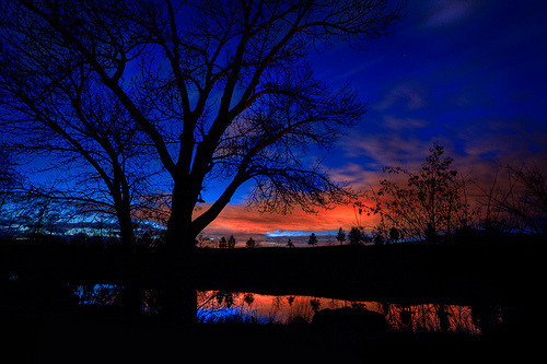 lori-rocks: Faux Sunset  By Dylan MacMaster