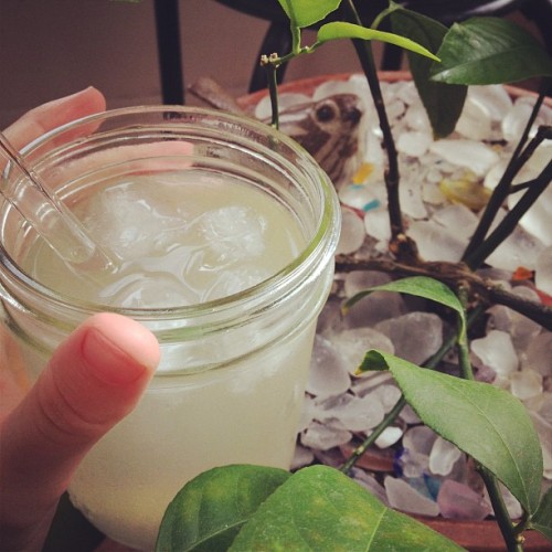 Single origin lemonade (when life gives you etc., etc.). #lemonlove (Taken with instagram)