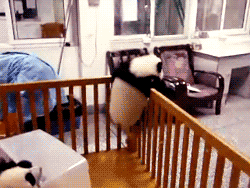 humorous-blog:  d0cpr0fess0r:  andyts:  Goddamnit pandas.  “Okay your job is to keep the pandas in their pen.” “And I get paid to do this.” “Yes.” “Splendid.”  ▒ 