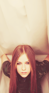 Avril News Brazil