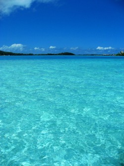 takigawa:  borabora-tahiti:  Bora Bora, Tahiti The water is like a pool  It’s pretty amazing for me that this photo’s getting so many notes. You guys really love the clear blue ocean water…