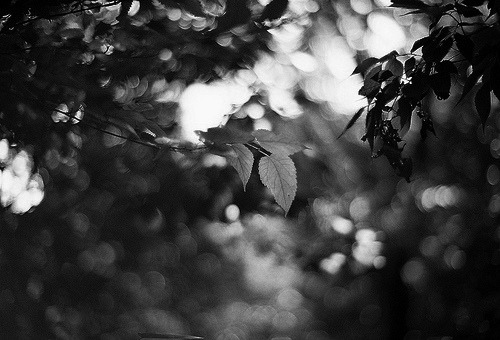 diacetyl-morphine.tumblr.com/post/17161331012/