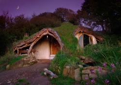 OH MY STARS, IT&rsquo;S A HOBBIT HOLE. ~Bunny