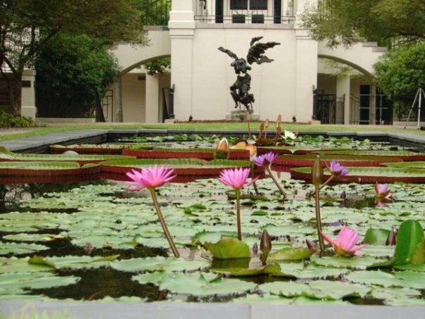 Winged with Water Lilies: Birmingham Botanical Gardens, Birmingham, Alabama ©2012 Marcus Gardner– The statue is Nike (Winged Victory) (Cordray Parker 1991)** from the botanical garden’s website http://www.bbgardens.org/gardens-culture.php#Blount