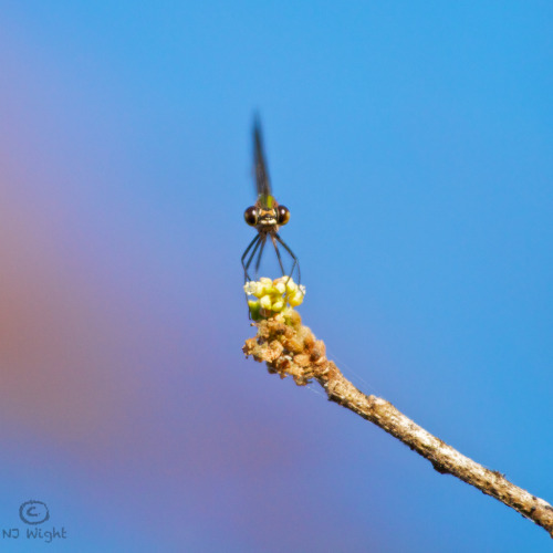 Macro Monday live from Panama!