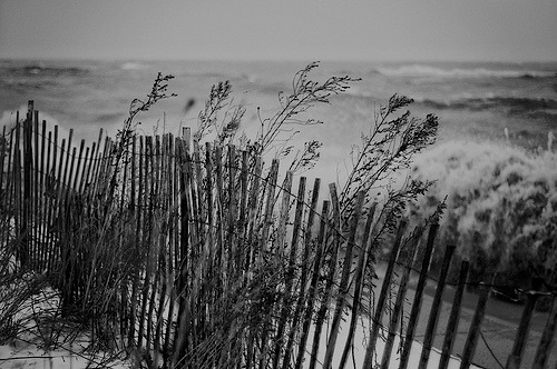 diacetyl-morphine.tumblr.com/post/17169011835/