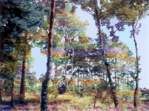 davidkarpaltunnelsyndrome:  switchbit:  samparty:   Dan Hays These are all oil paintings done on canvas, painted to look like fuzzy stills from VHS tapes, or early digitally recorded films, it seems. He has explanations with a lot of his paintings that