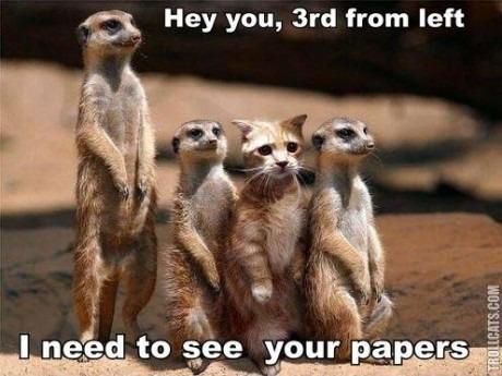 lolzpicx:  Just Funny Pics click here for more 