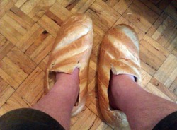 the-absolute-funniest-posts:  bearxjew: these are my favorite pair of loafers If you follow this blog, you will finally achieve true and lasting happiness 