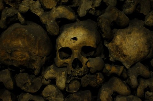 balsiek:  The Catacombs of Paris Paris has a deeper and stranger connection to its underground than almost any city, and that underground is one of the richest. The arteries and intestines of Paris, the hundreds of miles of tunnels that make up some of