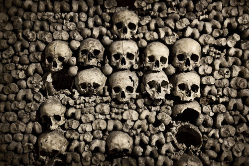 Porn Pics skandning:  The Catacombs of Paris Paris