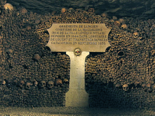 balsiek:  The Catacombs of Paris Paris has a deeper and stranger connection to its underground than almost any city, and that underground is one of the richest. The arteries and intestines of Paris, the hundreds of miles of tunnels that make up some of