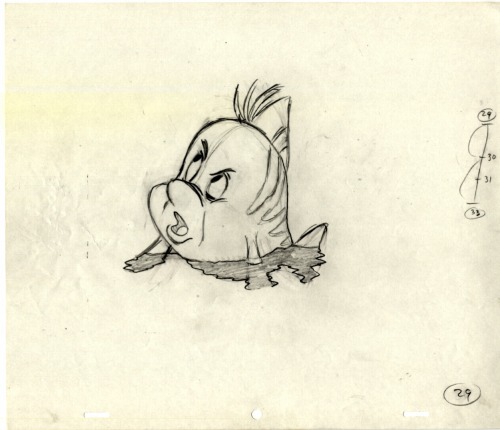 Flounder Preproduction Drawing