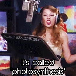 youlovedmeintennessee:dropeverythingnow-blog:Taylor recording for “The Lorax”omg she is adorable.