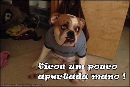  (traduzindosorrisos) 