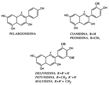 Química.