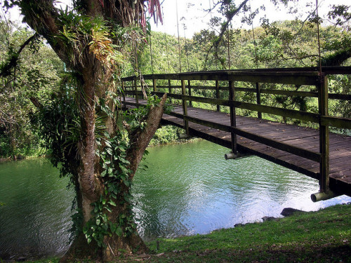 by Cristina Bruseghini de Di Maggio on Flickr.Parque Eco-Arqueologico Los Naranjos, Honduras.