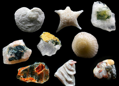 falltoplace:  sand magnified 250 times 