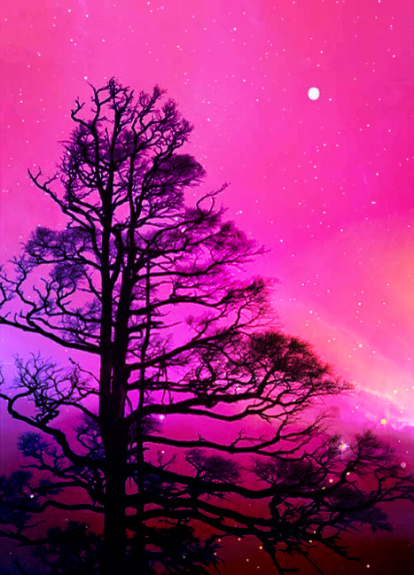 epiic:  Pink Sky by Epiic