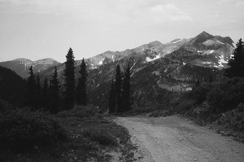 diacetyl-morphine.tumblr.com/post/17235217181/