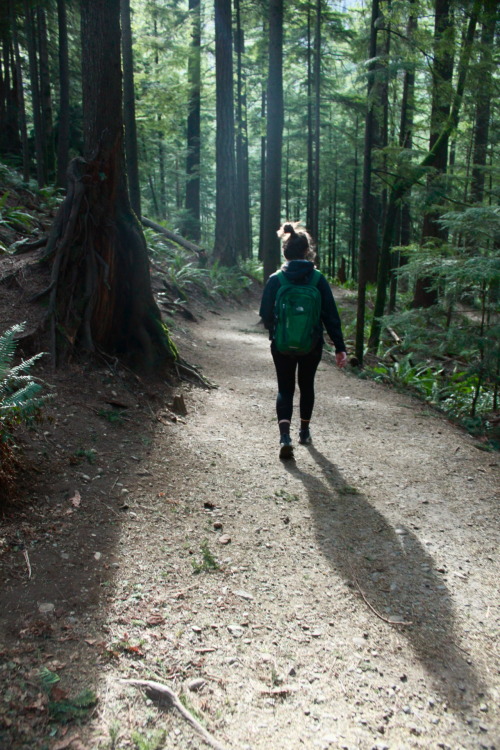 fuckyeahhiking:  warmsummernight 