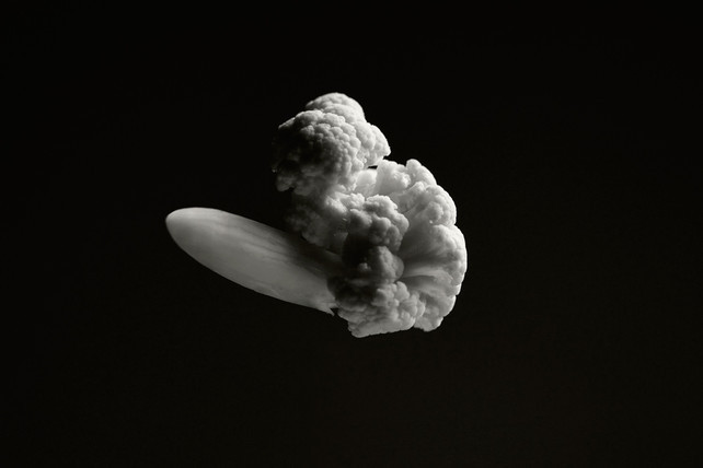 Distasteful or just tasty? Photographer Brock Davis renders the Hindenburg and other famous explosions…in cauliflower.
