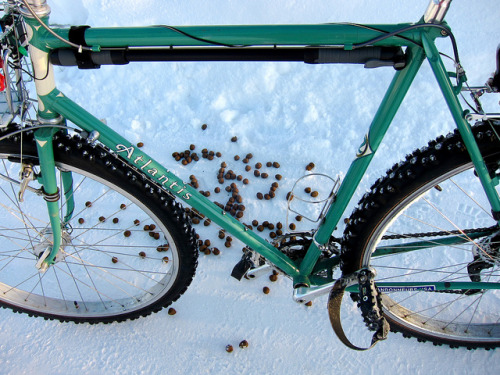 bikebiztokyo:Moose Exhaust in the Bike Lane by AK Rando on Flickr.