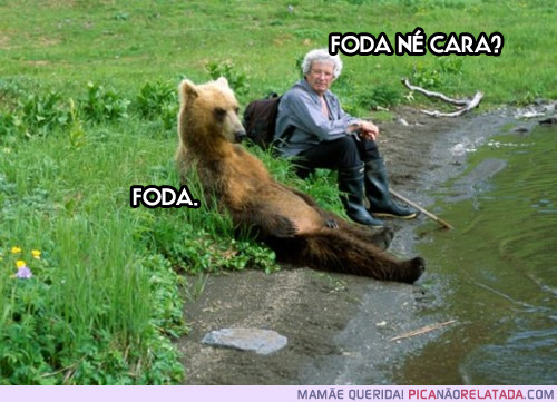 PICA NÃO RELATADA