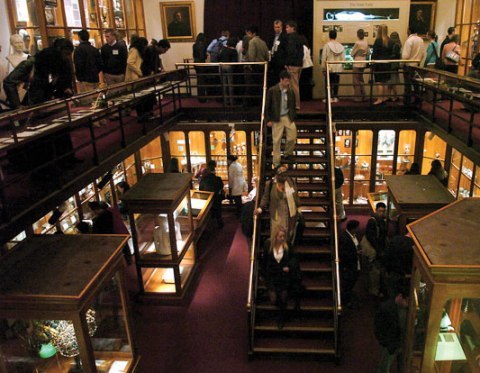 trappedintheburbs:  The Mutter Museum in Philadelphia. I always wanted to go to museums like these for some reason. They seem interesting. And just fucking discusting