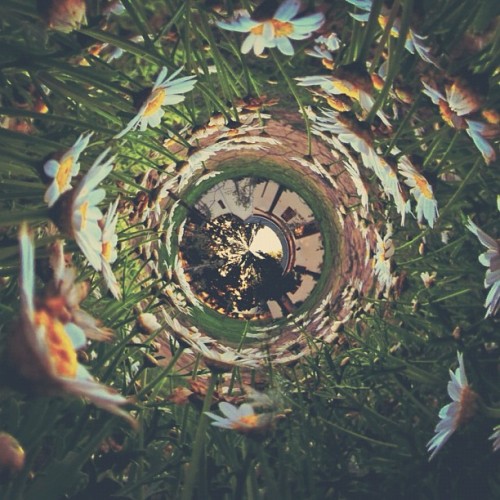 welovephoneography:  What if I should fall right through the center of the earth… oh, and come out the other side, where people walk upside down. ~ Alice in Wonderland  Tiny Planet Photos app + Instagram by @sarahc_. 