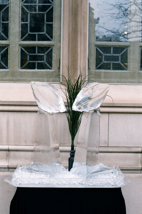 Ice sculpture replica super bowl trophies.